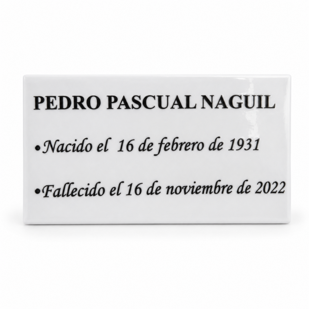Placa Texto Simple