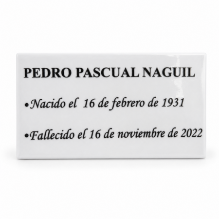 Placa Texto Simple